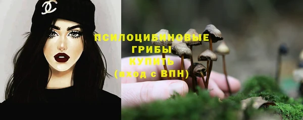 МДМА Елизово