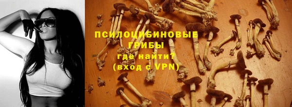 МДМА Елизово