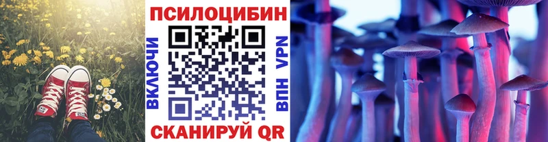Галлюциногенные грибы Cubensis  Калач 